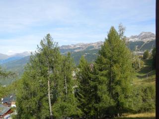 Studio divisible 4 pers. - Balcon, Animaux admis, Pied des pistes, Proches commerces - FR-1-353-74 - La Plagne - 2