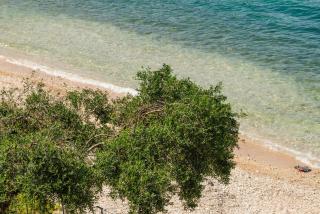 George & Danai apartments - 6