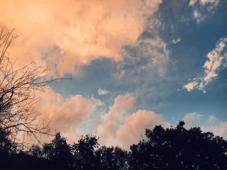 Chambres d'hôtes de charme - 3