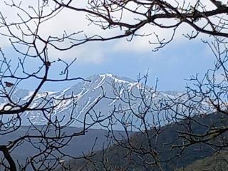 Chambres d'hôtes de charme - 5