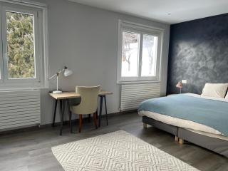 Vermont Hub Accommodation in Swiss Mountains - Leysin - 3