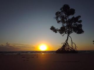 Habitat Marajó Hostel - Soure - 1