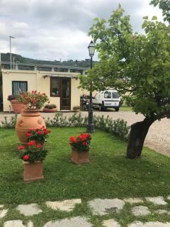 Residence Prunali - Massarosa - 2