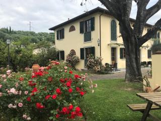 Residence Prunali - Massarosa - 1