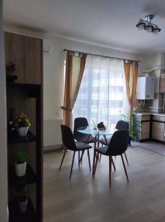 Park lake residence - Cluj-Napoca - 7