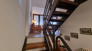 Ruscello Alpino - Mazzin - 5