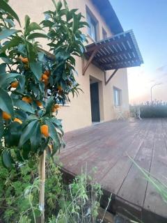 Cozy Apartment Near Sea of Galilee! - 1