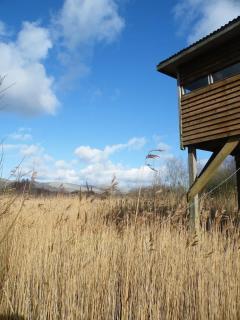 Furnace Cottage - Machynlleth - 8