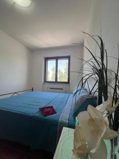 App Latina Lido a 10 min da mare - Lido di Latina - 4