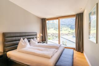 Edelweiss Mountain Suites 07-08 - Flims - 3