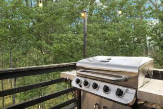Fireplace Grill Games & Dogs near Bryce Resort - Basye - 6