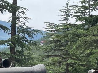 The hidden heaven homestay kalpa - Chini - 7
