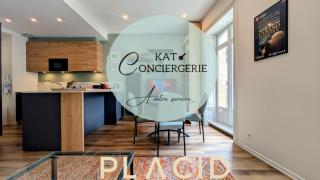 Chic et cozy duplex dans le centre ville de Vannes - Vannes - 0