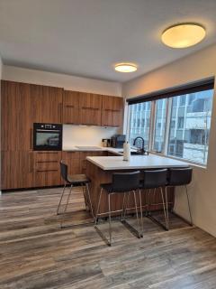 Perfectly located downtown apartment - Reykjavík - 0