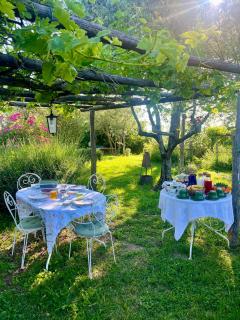 Agriturismo La Cervaiola Piccola dimora di Campagna - Porano - 4