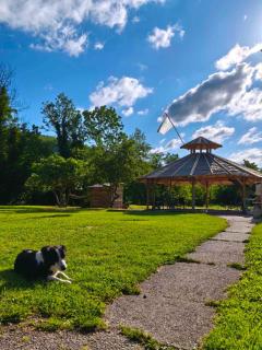 Camp Greenbear outdoor - Beserovina - 1