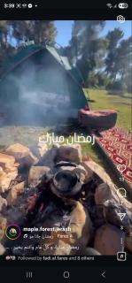 Maple forest park cabins -  - 8