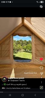 Maple forest park cabins - - 6