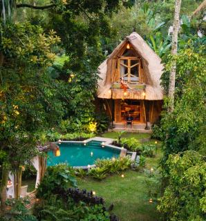 Kumbuh Jungle - Susut - 3