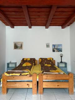 Tiszai Fenyves Apartman - Tiszadorogma - 1