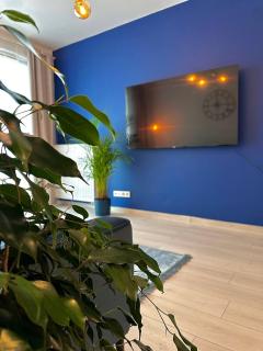 Apartment A12 by Real Apartment - Warsaw - 6