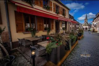 L'Appart du Château - La Petite-Pierre - 1
