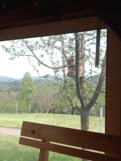 Apartman Ris Gorski Kotar Crni Lug - Delnice - 4