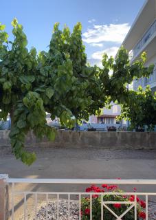 Thetis III, the Beach House - Vivari - 2