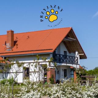 Storczykowe Wzgórze - Paszowice - 0