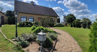 Springlands Farm - 5