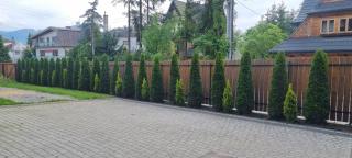 Apartamenty Wiktorówka - Poronin - 1