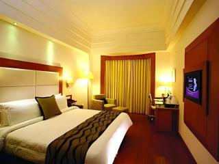 hotel balle - Nuova Delhi - 3
