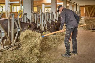 Bocks Apartments 53C - 8