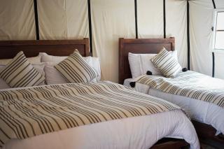 Sahara Luxurious Camp - Merzouga - 8