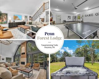 Luxury Hot Tub Game Room and More - Albrightsville - 0