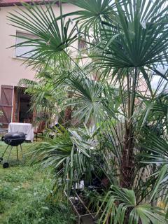 Comme A La Maison Chez Domi Coquet T2 Avec Jardin Accueil Chaleureux - Toulouse - 8