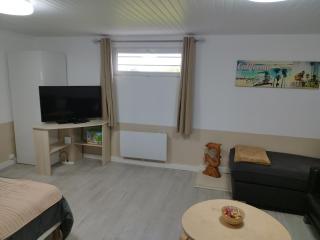 Disney grand F2 dans maison terrasse privée - 8