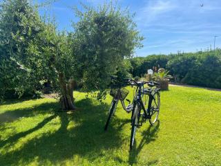 Il Giardino Sul Mare - 4