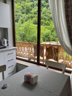 Meghu Guest House - Aghavnavankʼ - 3
