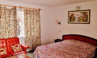 Hotel green land - Kargil - 3