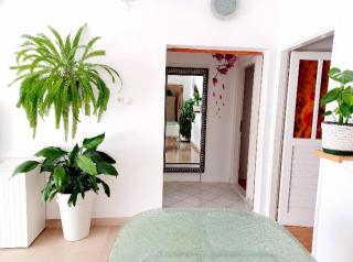 Apartment Eva - Makarska - 2