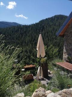 Le chalet du loir - 1