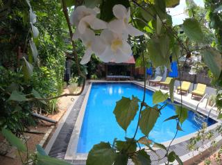 Mirissa Blue Whale Holiday Hotel - Mirissa - 8