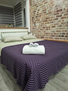 Apartman Nani - Secure and free parking space! - Sarajevo - 3