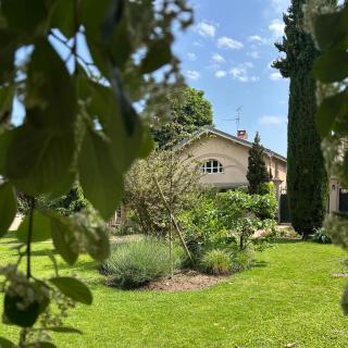 Domaine de la Serve - 9