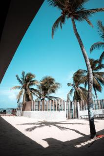 Mangrove Bay Hotel San Andrés Islas - 6