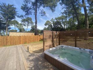 La Maison des Pins - Rivedoux-Plage - 0