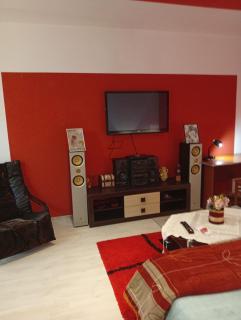 Apartament cu terasa la casa Elena - Timişoara - 9