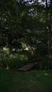 Off-grid Cabin, Outdoor Bath, 15 min from Bruton - Gillingham - 5
