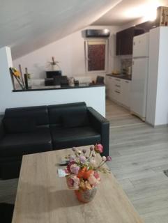 Apartament cu terasa la casa Elena - Timişoara - 1